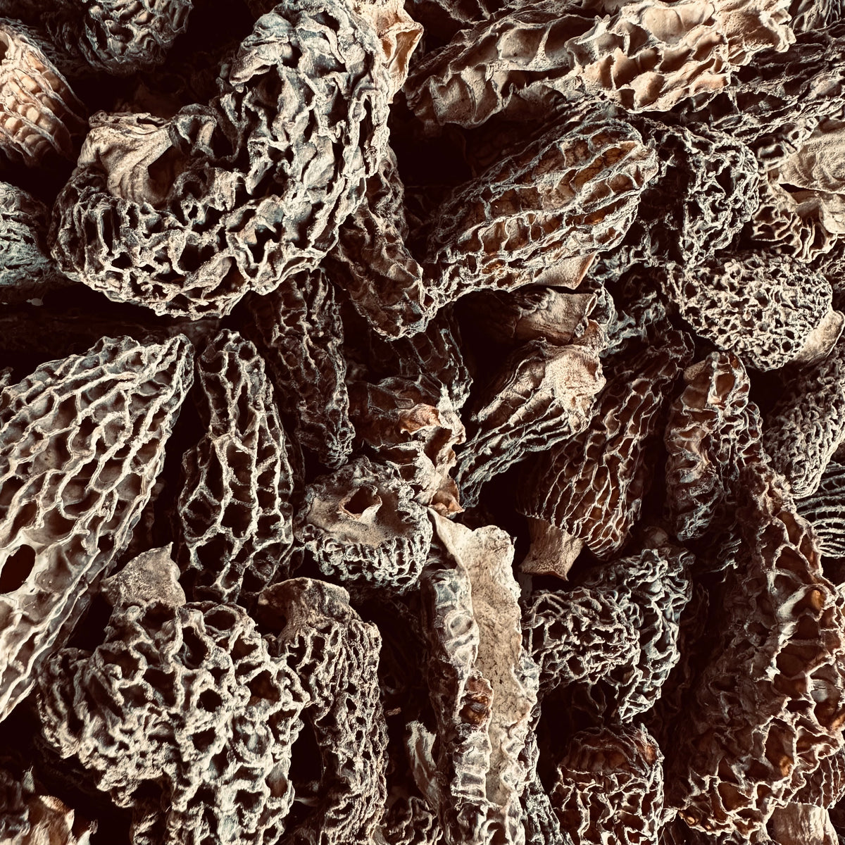 Local dehydrated morel 15g
