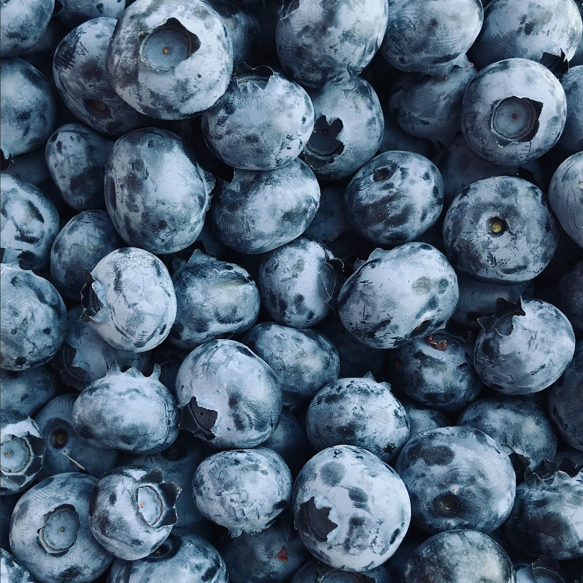 Blueberry tartinade
