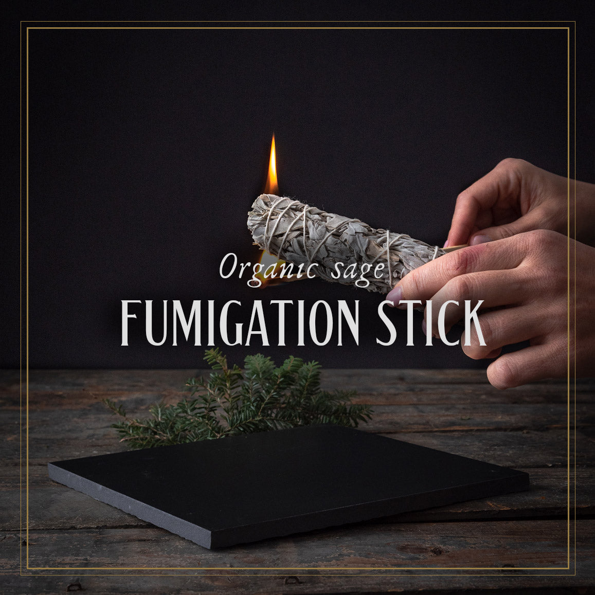 Organic sage fumigation stick